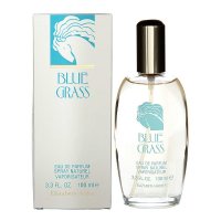 Elizabeth Arden Blue Grass 100ml EDP Spray Ladies (EACH)