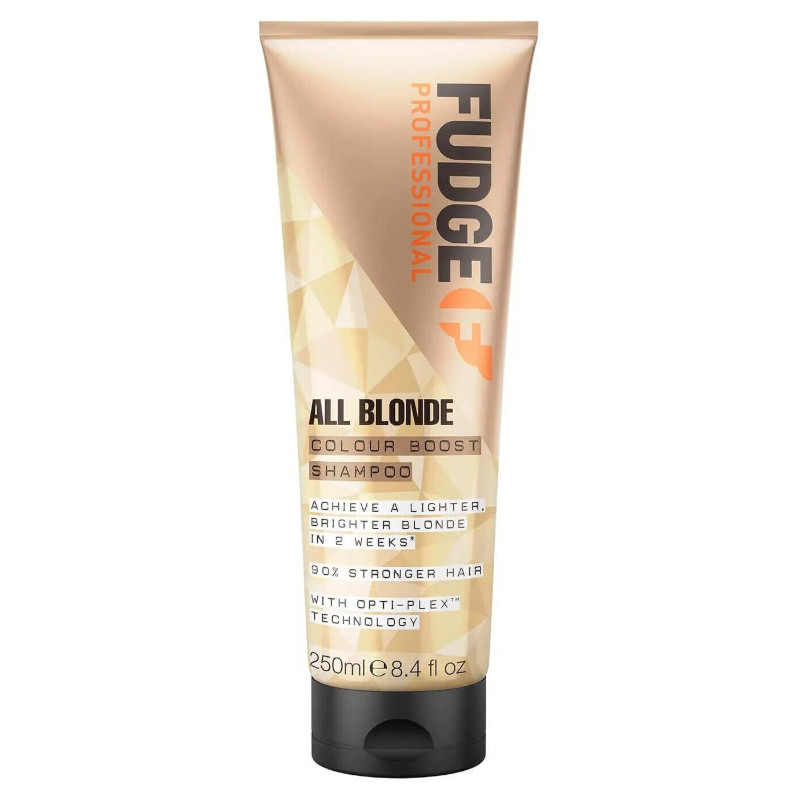 Fudge Professional All Blonde Colour Boost Shampoo (24 UNITS) - Click Image to Close